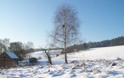 gruental-im-winter-1